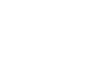 Synesis One Logo